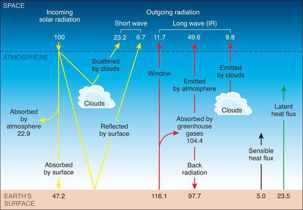 Click to enlarge Image