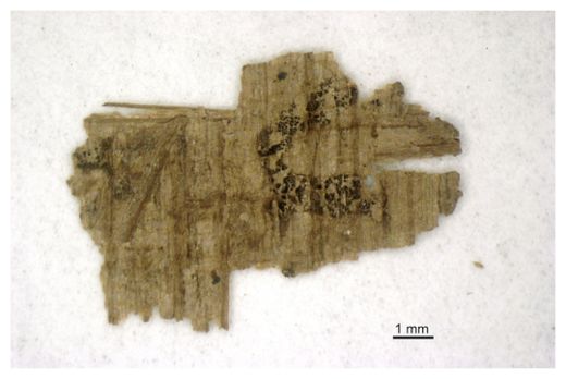 The Gospel of Judas Fragment