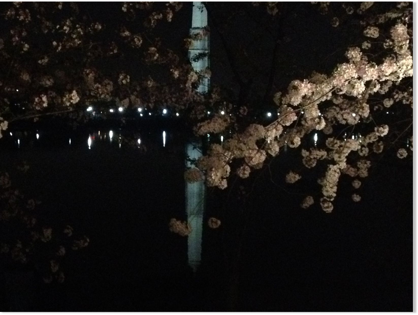 tidal basin