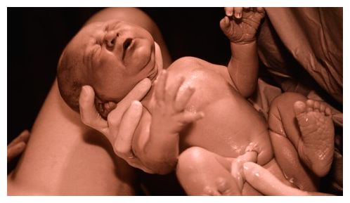 Newborn