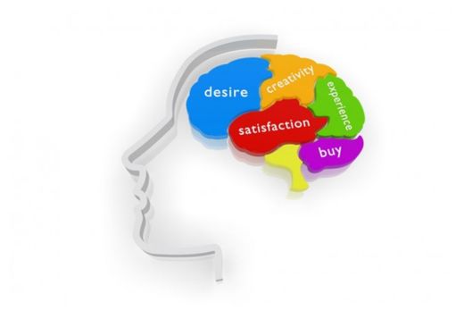 Inside the Brain