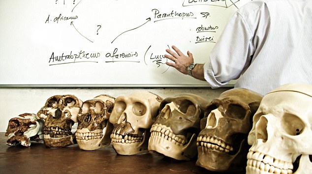 Early human ancestors were 'aquatic apes': Living in water helped us evolve big brains and walk upright, scientists say
