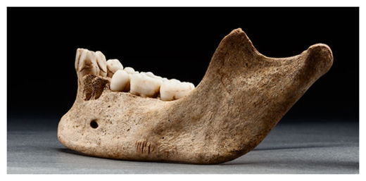 Jaw Bones