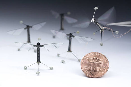 Click to enlarge RoboBees
