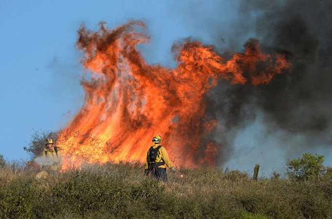 wildfire