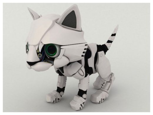 Kitty 