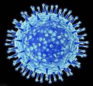 flu virus