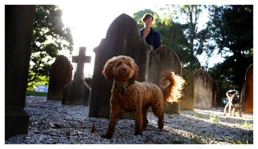 Haunted Graveyard