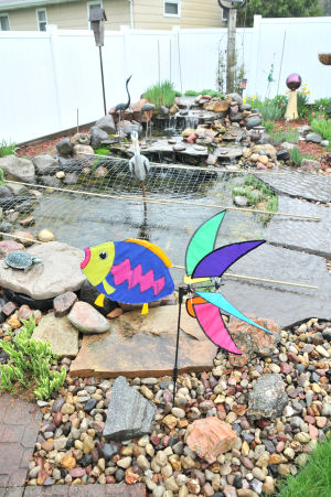 Koi Pond