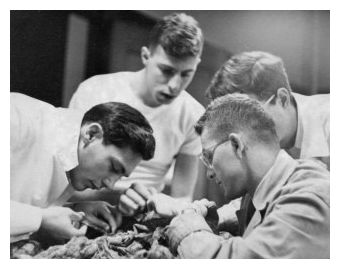 Autopsy