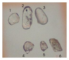 Zircons