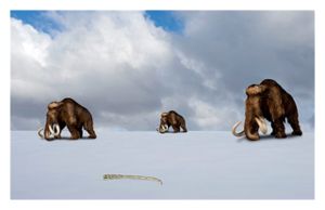 Click to enlarge Mammoth