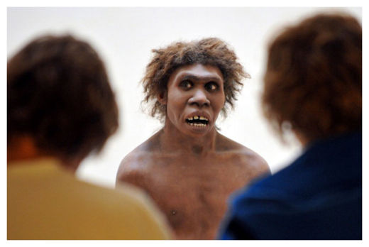 Click to enlarge Neanderthal
