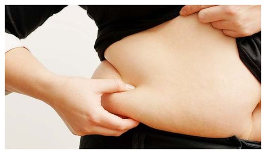 Fat Cells