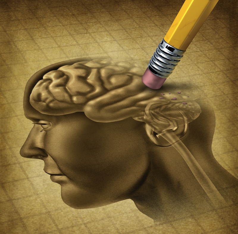 Intelligence