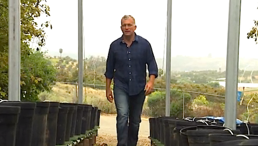 Dylan Ratigan