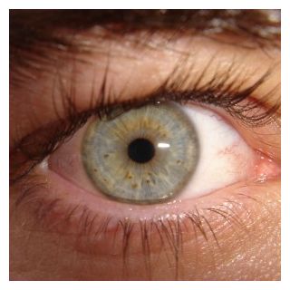 Click to enlarge Surveillance