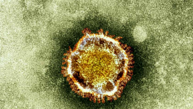 coronavirus