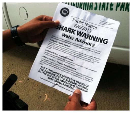 Click to enlarge Fake Shark Warning