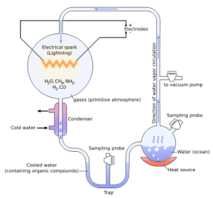 Click to enlarge Miller-Urey experiment