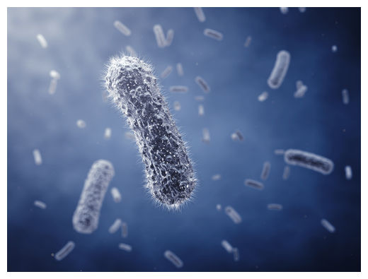 Click to enlarge Bacteria