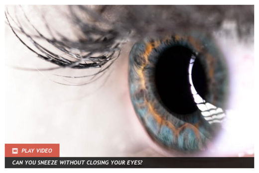 Click to enlarge Eye