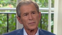 bush