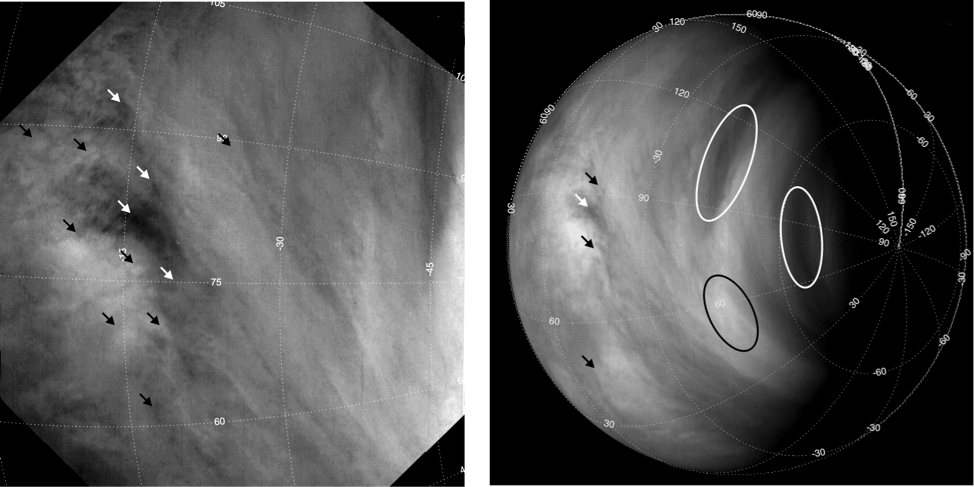 Venus Cloud Features