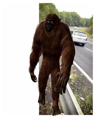 Yowie