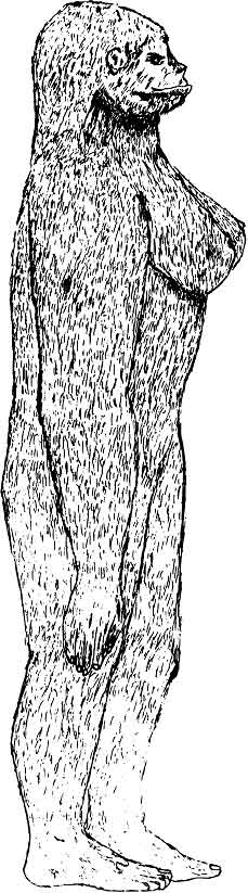 Click to enlarge RoeSasquatch