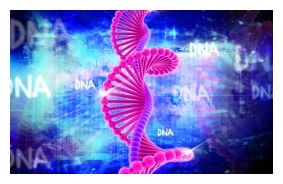 Click to enlarge DNA
