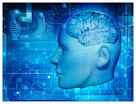 Consciousness