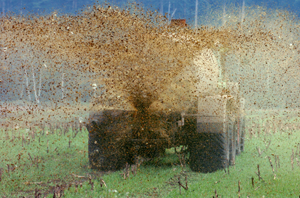 Click to enlarge Image