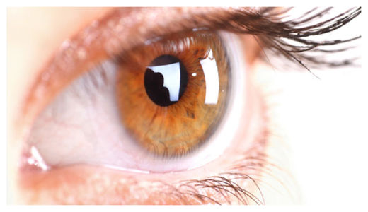 Eye