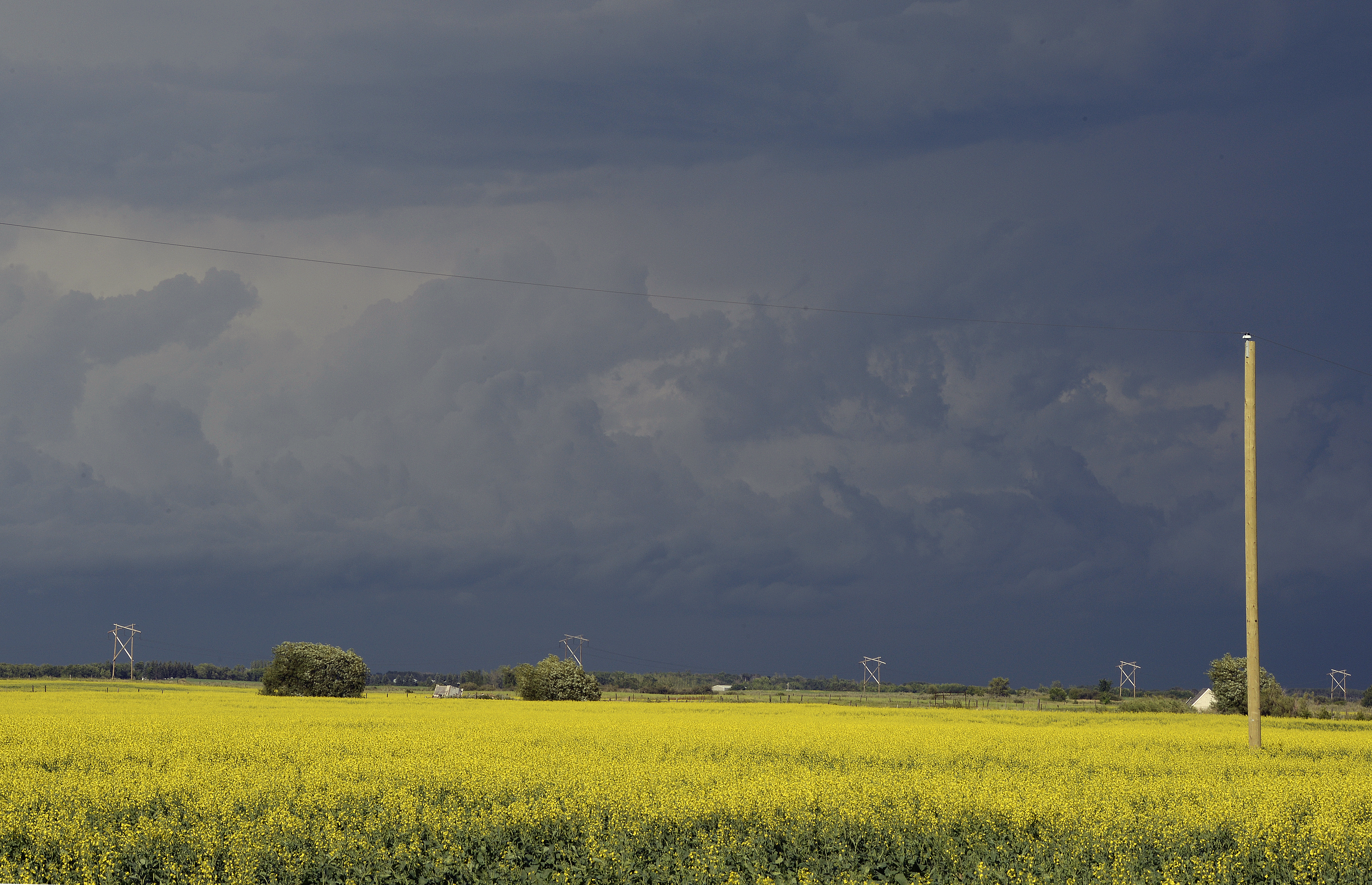 Storm