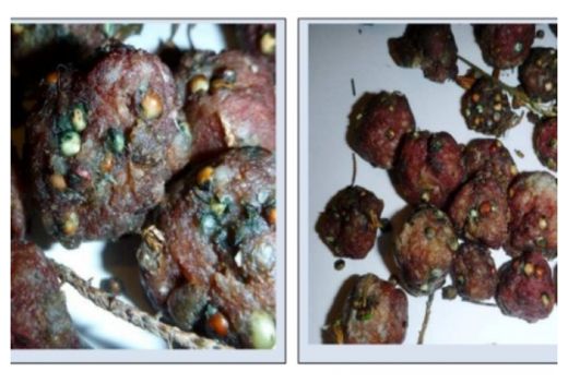 Poisoned Meatballs
