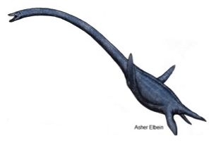 Click to enlarge Elasmosaur_1