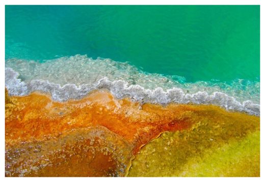 Click to enlarge Primordial Soup