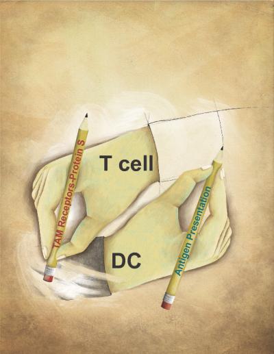 Click to enlarge Image
