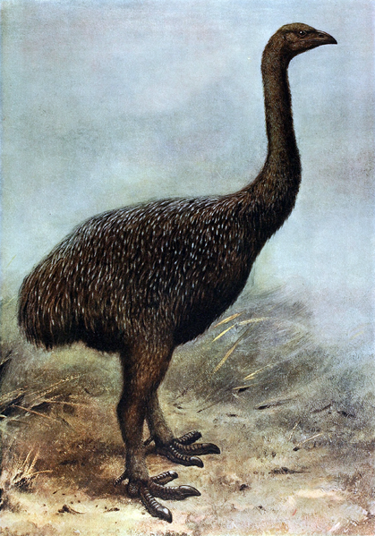 Click to enlarge Image