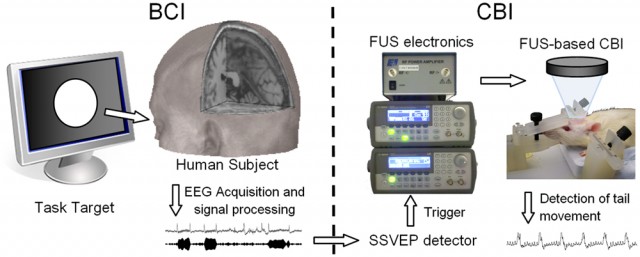 Click to enlarge Human to Animals Interface_1