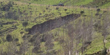 Click to enlarge New Zealand sinkhole