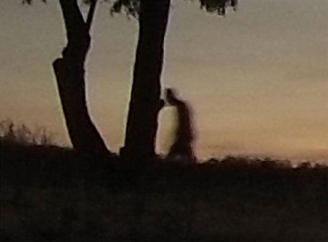 Ghost?