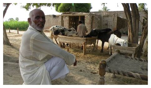 Click to enlarge Wali Deen