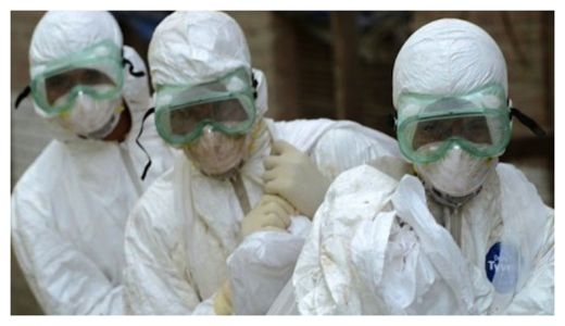 Bird Flu