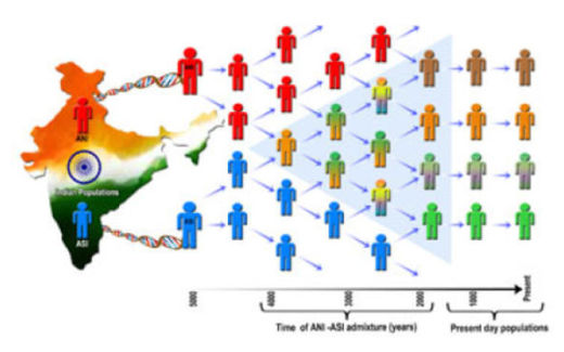 Indian Genetics