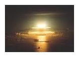 Nuclear Bomb