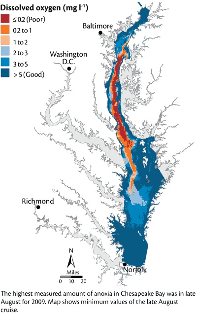 Click to enlarge Image