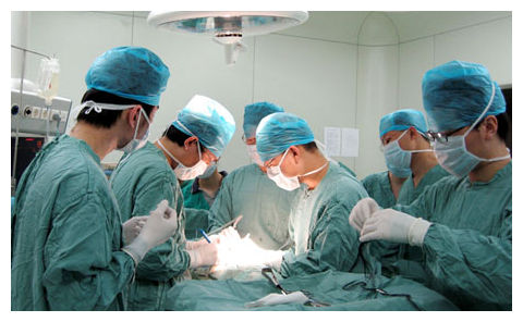 Organ Harvesting