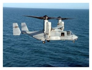 Osprey